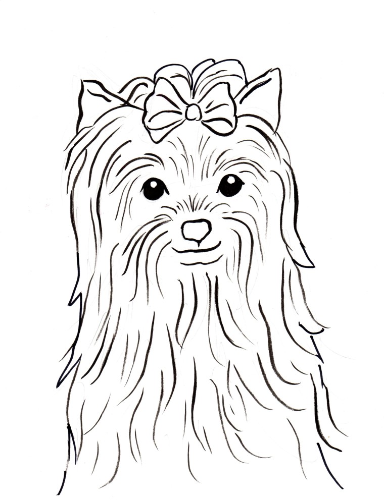 Yorkshire Terrier Coloring Page 760x991 Yorkshire Terrier Coloring Page