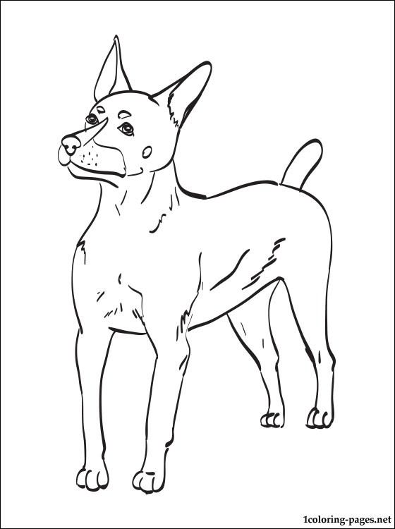 Chilean Fox Terrier Coloring Page Coloring Pages 560x750 Chilean Fox Terrier Coloring Page Coloring Pages