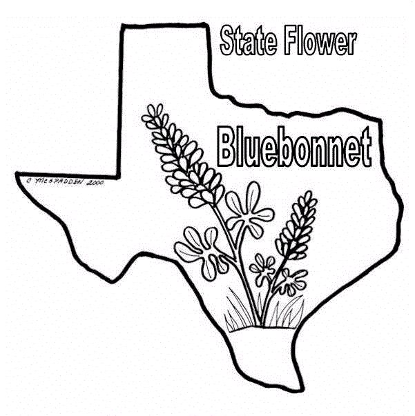 Texas Coloring Pages