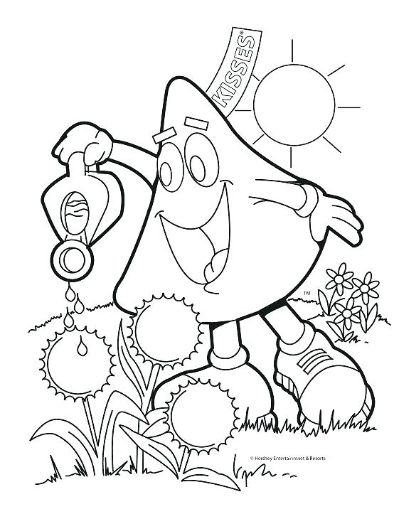 554x716 State Bird Coloring Pages Coloring Pages Spring Printable Coloring