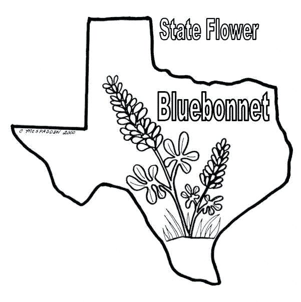 Printable Texas Coloring Pages - Printable Word Searches