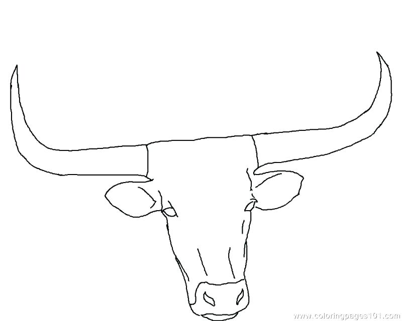 Texas Coloring Pages Coloring Page Longhorn Cow Coloring Page 800x640 Texas Coloring Pages Coloring Page Longhorn Cow Coloring Page