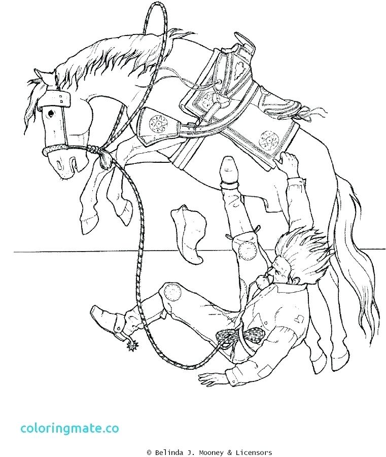 Texas Flag Color 761x901 Texas Flag Color