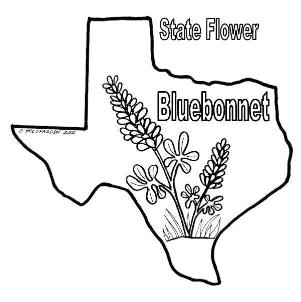 601x603 Texas Coloring Pages Coloring Pages Texas Longhorns Printable