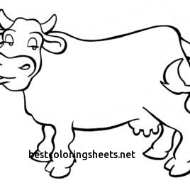 268x268 Inspirational Texas Longhorn Cattle Coloring Pages Best Coloring