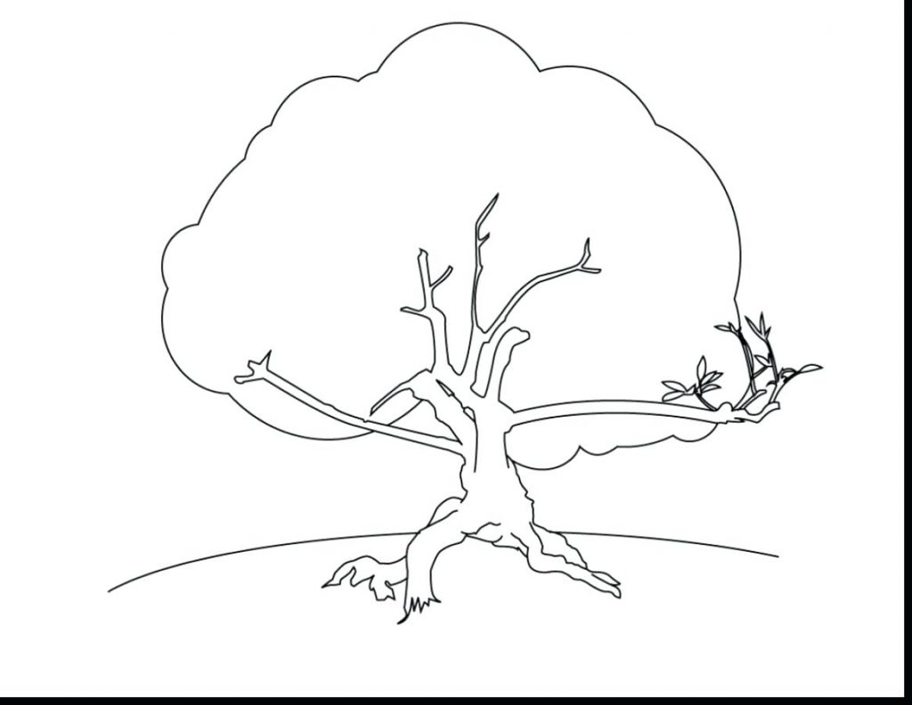 1024x792 Coloring Pages ~ Texas Coloring Pages Amazing Printable Tree