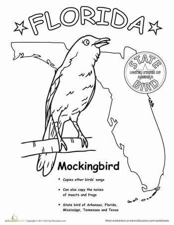 350x453 Florida State Symbols Coloring Pages 9 Best School Projects Images