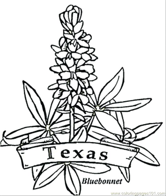Texas Symbols Coloring Pages Search Results Map Coloring Page 650x768 Texas Symbols Coloring Pages Search Results Map Coloring Page