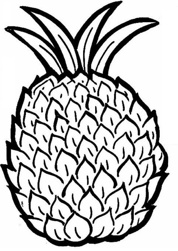 620x875 Free Printable Pineapple Coloring Pages For Kids