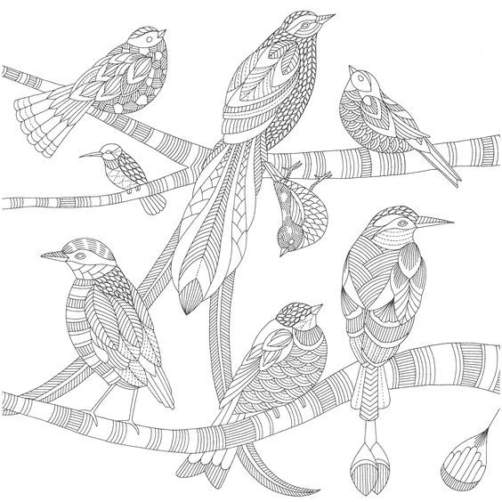 564x564 3012f327ec91b693e2bb034ba5d147a8.jpg Color Book