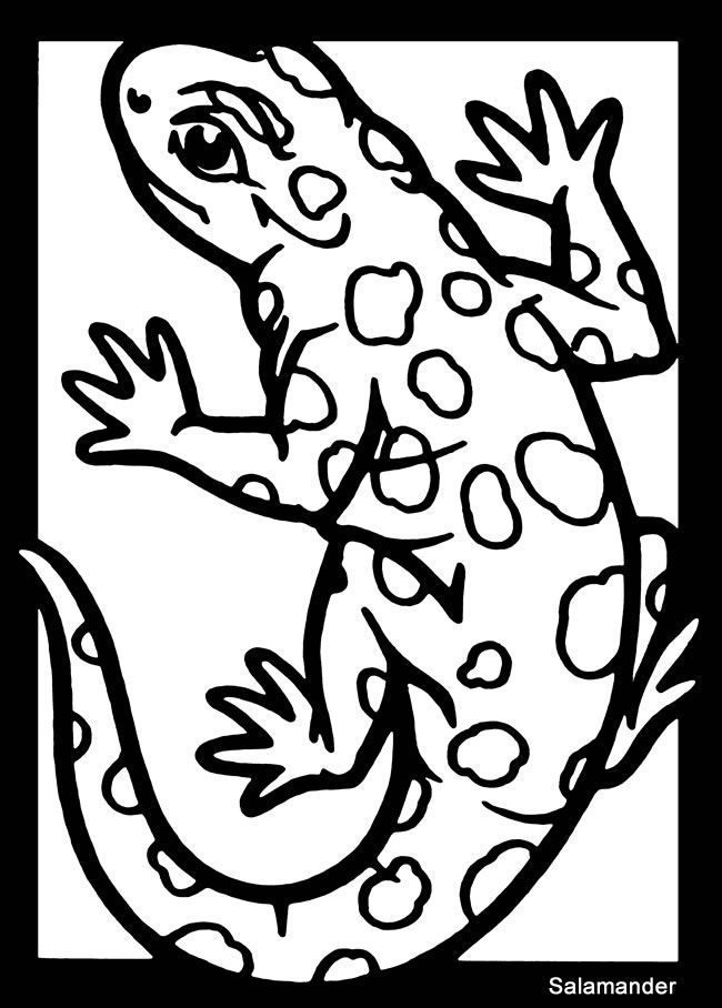 650x908 67 Best Coloring Pages