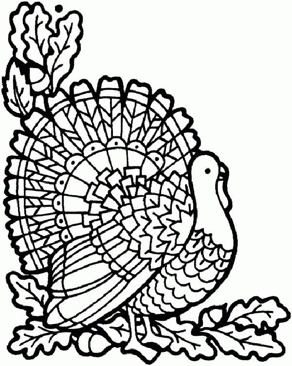 Thanksgiving Coloring Pages For Adults Free