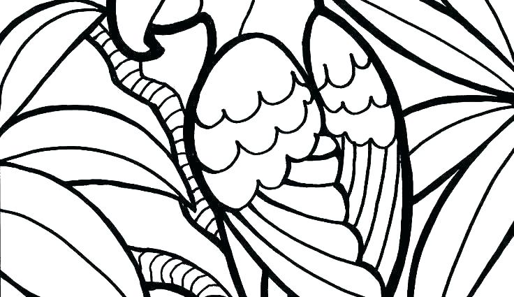 Free Printable Thanksgiving Coloring Pages For Preschoolers 736x425 Free Printable Thanksgiving Coloring Pages For Preschoolers