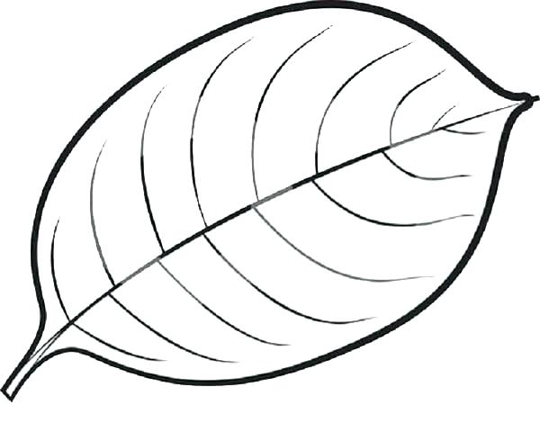 Leaf Coloring Pages Thanksgiving Leaves Coloring Pages Coloring 600x470 Leaf Coloring Pages Thanksgiving Leaves Coloring Pages Coloring