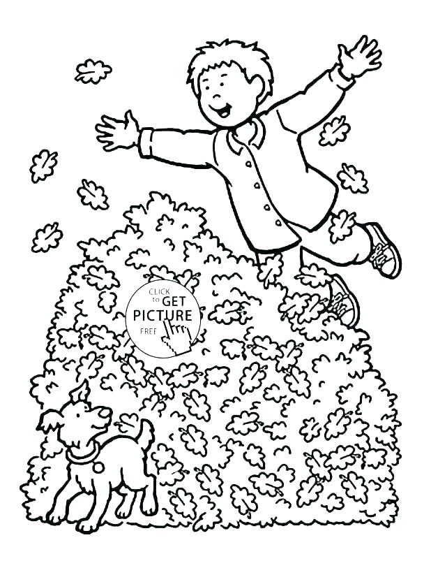 Fall Leaves Coloring Pages Printable 618x813 Fall Leaves Coloring Pages Printable