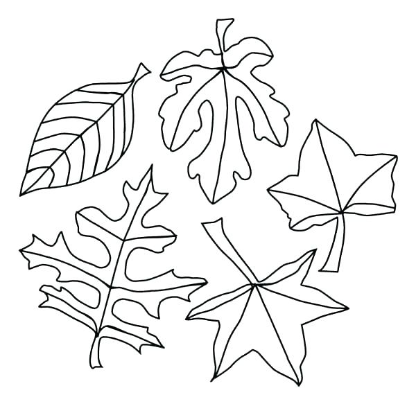 Coloring Pages For Fall Free Printable Coloring Pages Fall Autumn 600x583 Coloring Pages For Fall Free Printable Coloring Pages Fall Autumn