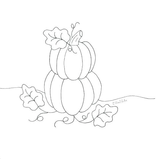 545x553 Coloring Page Of A Pumpkin Pumpkin Coloring Template Colouring