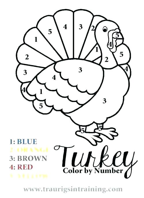 Coloring Book Turkey Pictures To Color Page Pages For Thanksgiving 500x687 Coloring Book Turkey Pictures To Color Page Pages For Thanksgiving