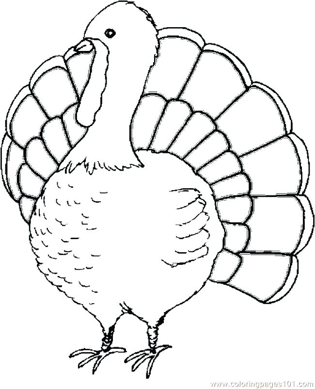 650x802 Thanksgiving Turkey Coloring Page Picture Of A Colored Turkey