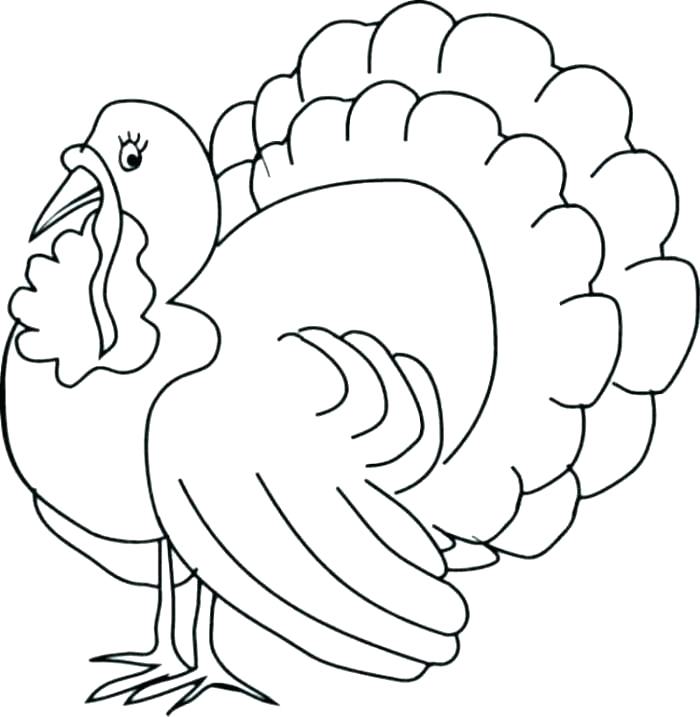 700x717 Turkey Coloring Pages Printable Free Coloring Page Of Turkey