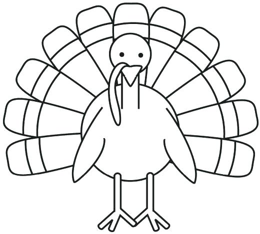 A Turkey Coloring Page Professional 520x469 A Turkey Coloring Page Professional