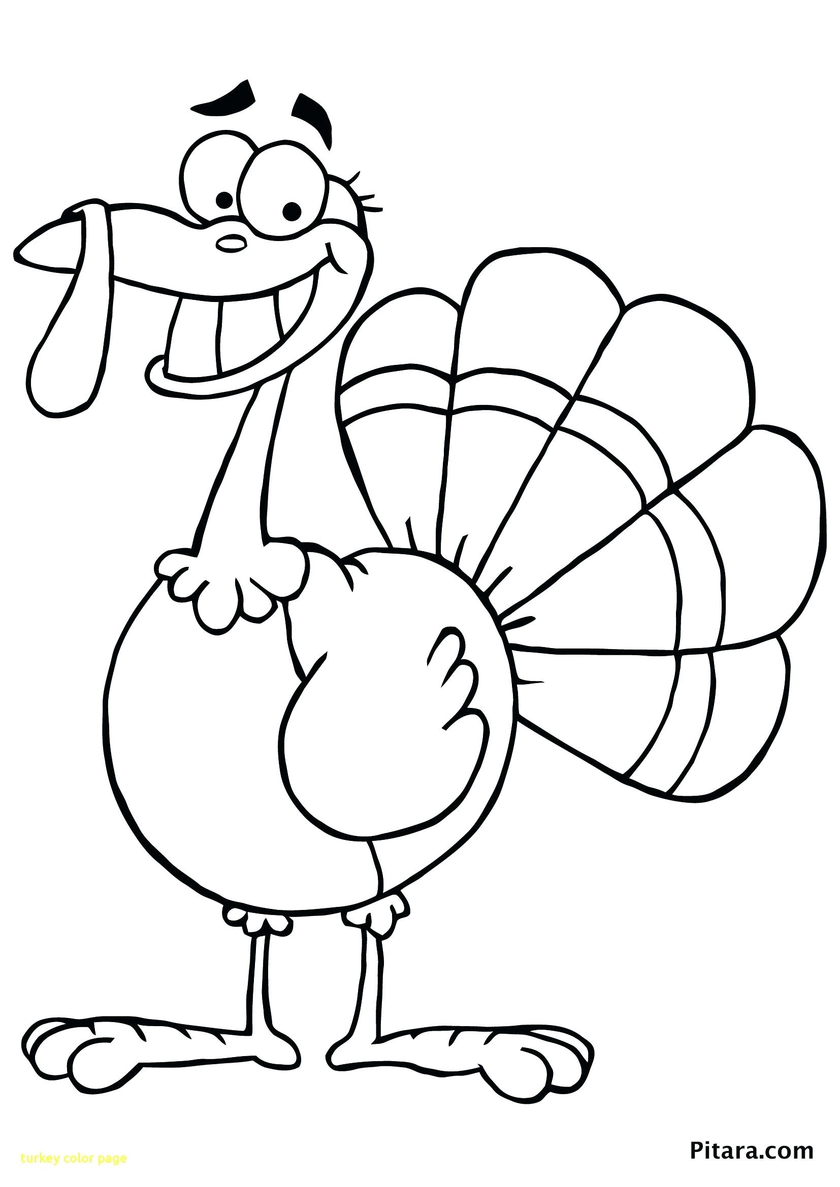 Insider Picture Of A Turkey To Color Page With Thanksgiving Turkey 1654x2339 Insider Picture Of A Turkey To Color Page With Thanksgiving Turkey