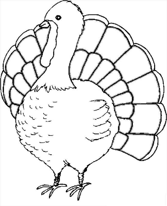 Turkey Coloring Pages 650x802 Turkey Coloring Pages