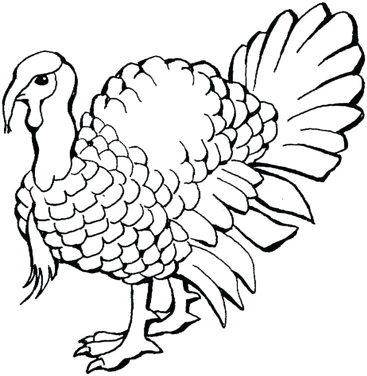 Turkey Coloring Pages For Kids Free Printable Thanksgiving 736x753 Turkey Coloring Pages For Kids Free Printable Thanksgiving