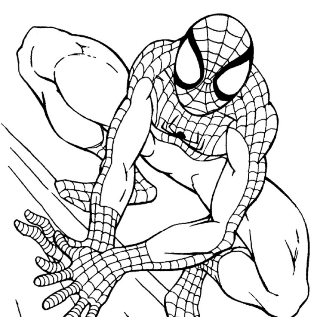 1024x1024 Amazing Pictures Of Spiderman To Color 29 597 For The Amazing