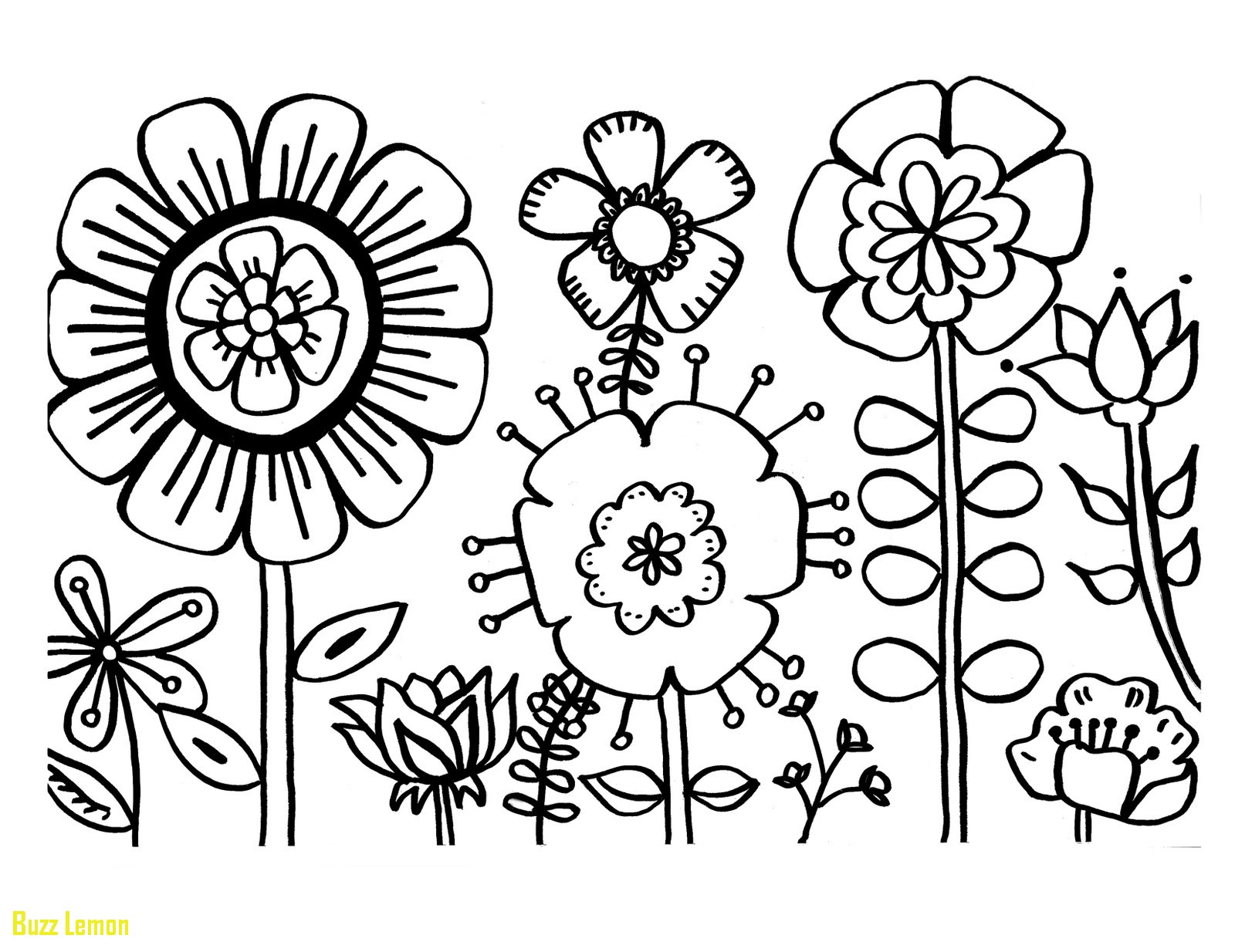 Best Of Coloring Page Flowers Buzz Coloring 1600x1234 Best Of Coloring Page Flowers Buzz Coloring