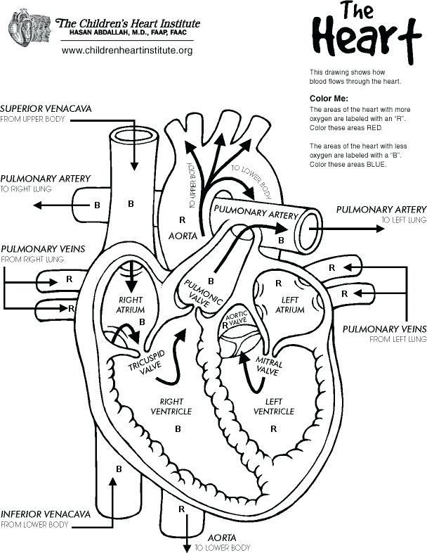 608x786 Coloring Pages Of The Heart