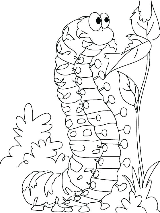 Very Hungry Caterpillar Coloring Pages Very Hungry Very Hungry 558x740 Very Hungry Caterpillar Coloring Pages Very Hungry Very Hungry