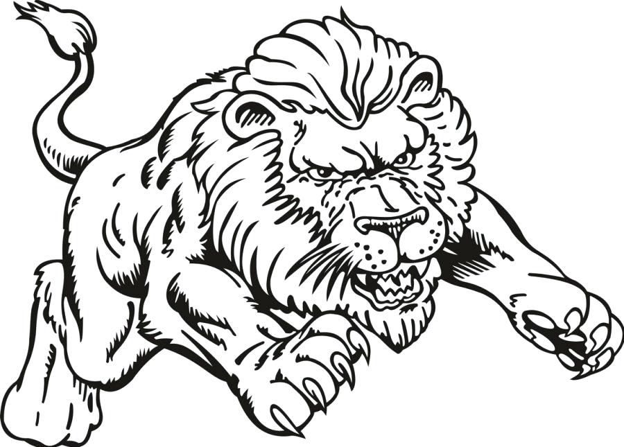900x645 Coloring Pages Of Lions Coloring Pictures Of A Lion Pin Drawn Lion