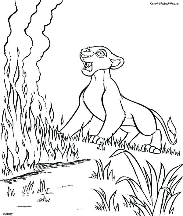 Lion King Coloring Pages King Coloring Page Lion King And The Lion 600x709 Lion King Coloring Pages King Coloring Page Lion King And The Lion