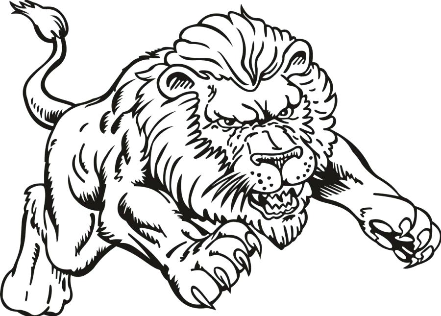 900x645 Coloring Page Lion Lion The Great King Of Jungle Lion Coloring
