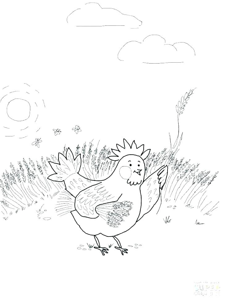 728x971 Hen Coloring Page Impair.co