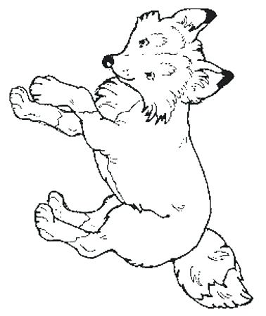 378x450 The Mitten Coloring Page The Mitten Coloring Page Fox Coloring