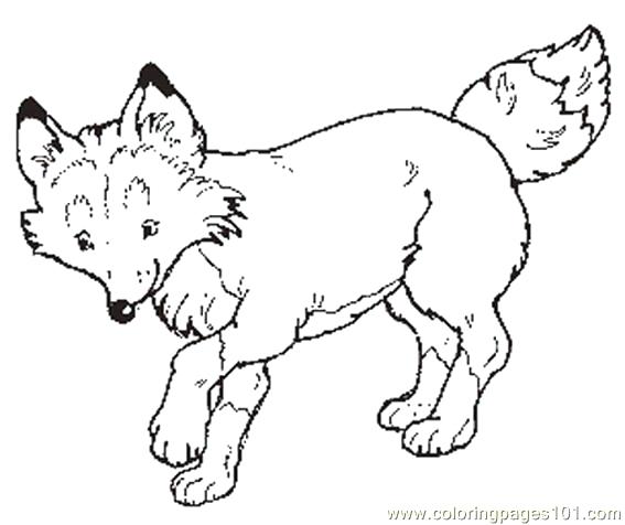 567x476 The Mitten Coloring Pages