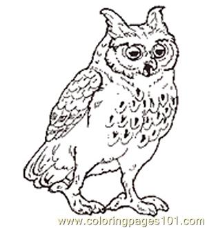 300x331 The Mitten Mural Owl Coloring Page Reversed Coloring Page