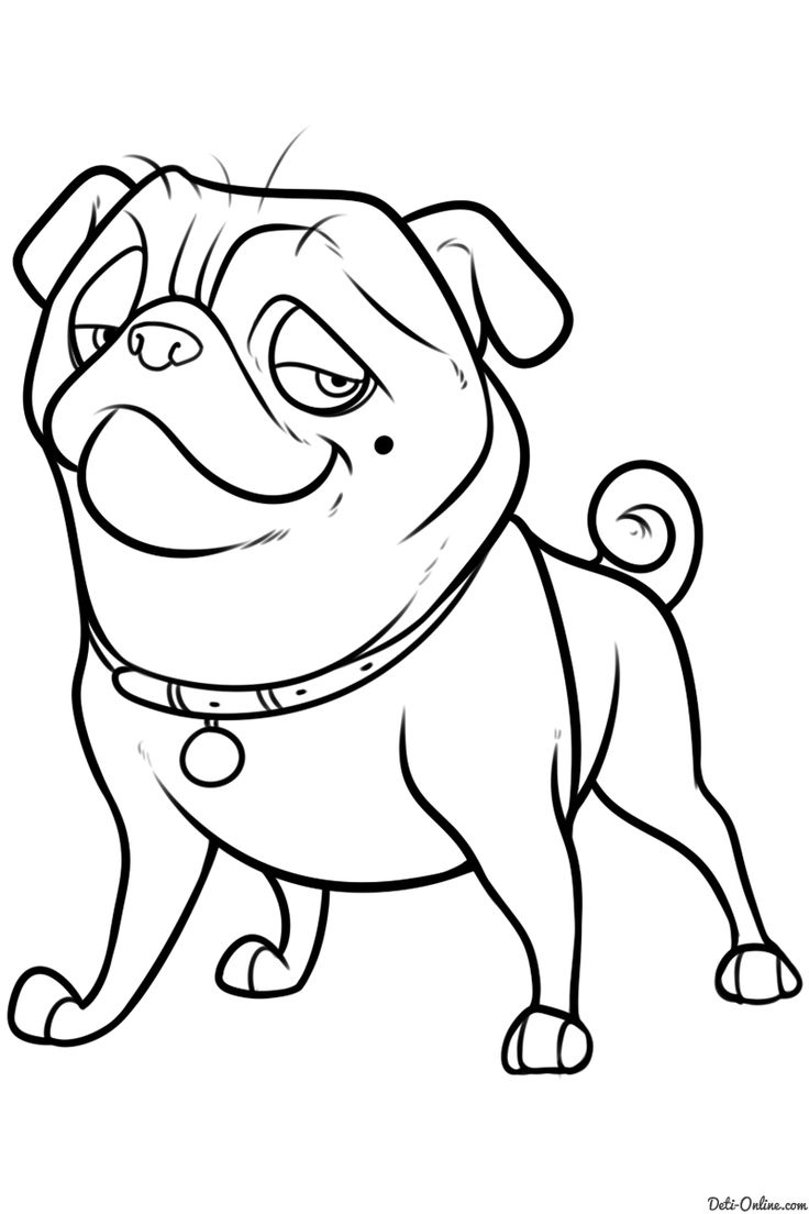 736x1104 253 Best Images On Colouring Pages, Coloring