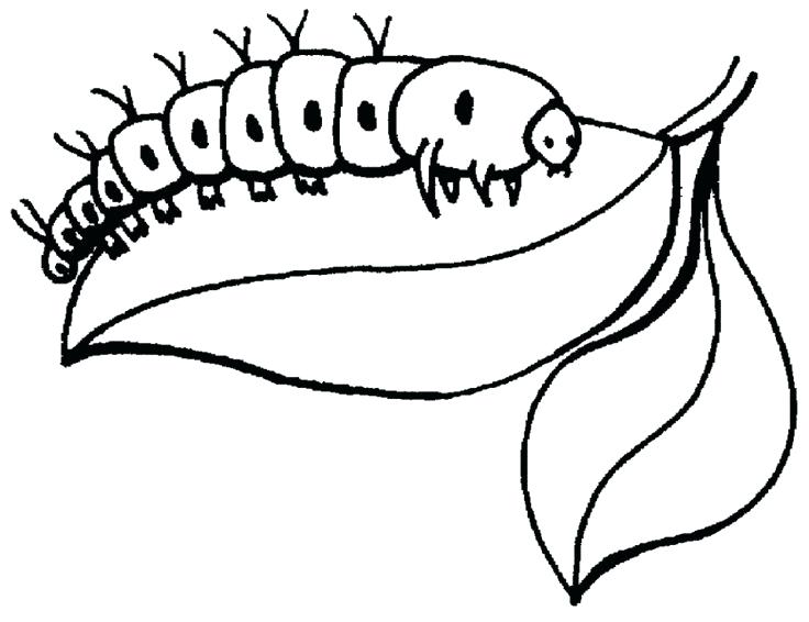 736x566 Fresh Caterpillar Coloring Pages Online For Kids A Printable Fresh