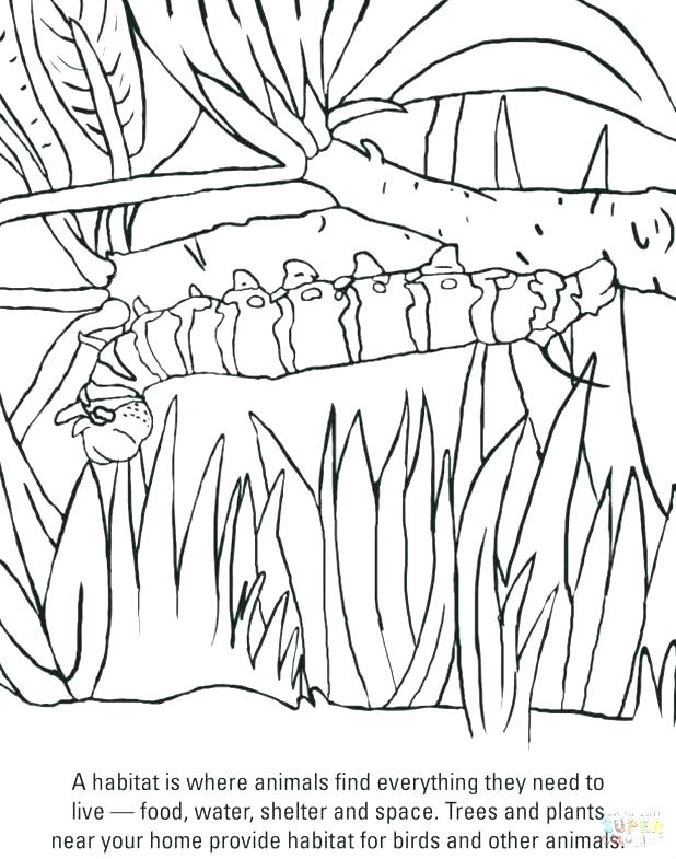 618x785 Hungry Caterpillar Coloring Pages Hungry Caterpillar Coloring