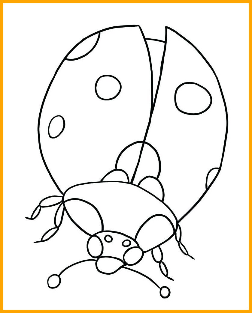 839x1044 Best Coloring Page The Very Hungry Caterpillar New Pict