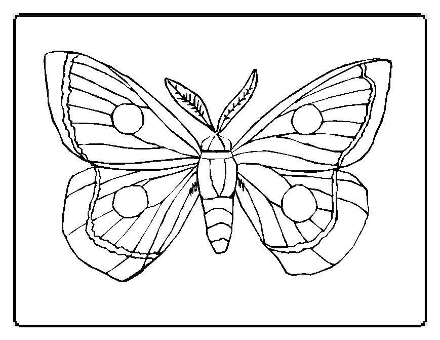 869x671 The Official Web Site Coloring Page Very Hungry Caterpillar