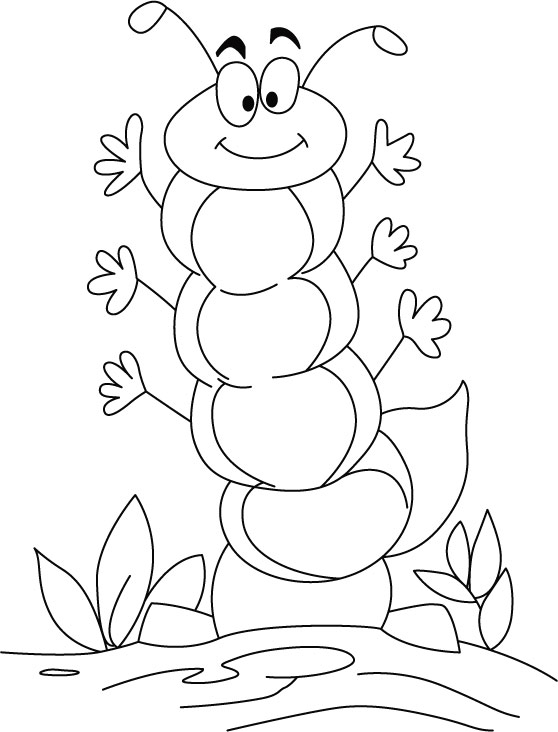 558x732 Free Printable Coloring Pages Very Hungry Caterpillar For Kids