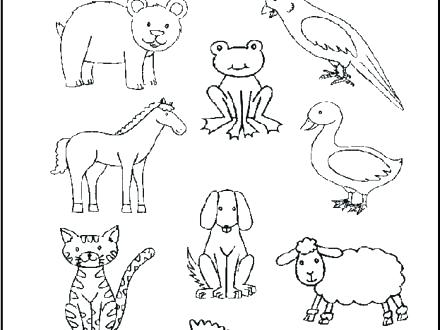 440x330 Coloring Pages Coloring Pages Brown Bear Coloring Page Coloring