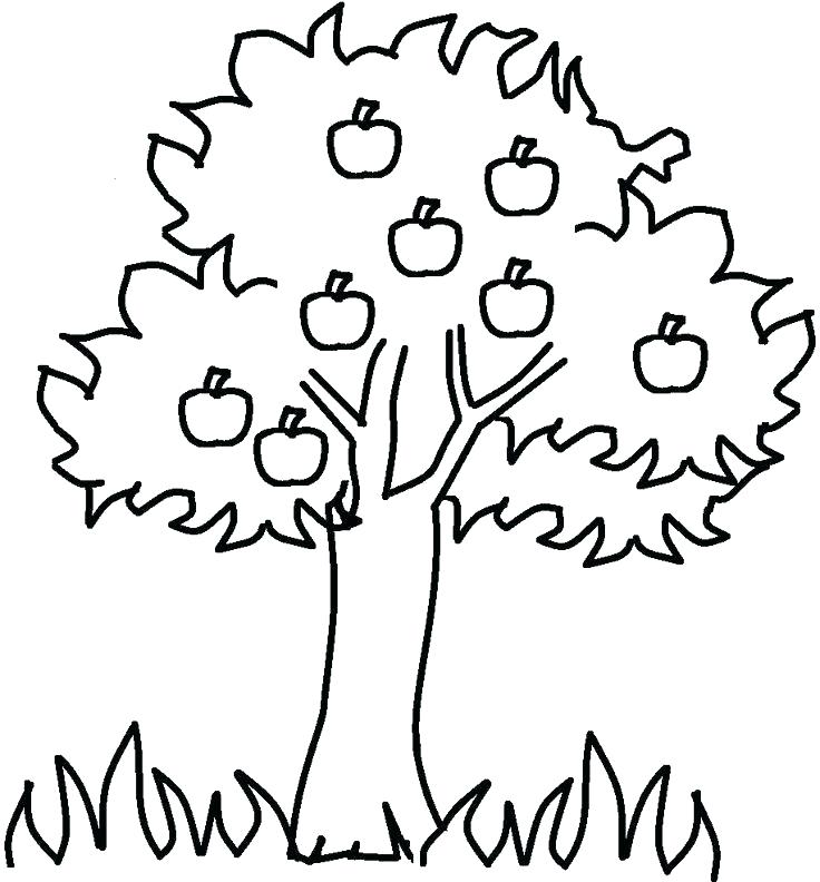 736x792 Family Tree Coloring Pages Printable Family Tree Coloring Pages