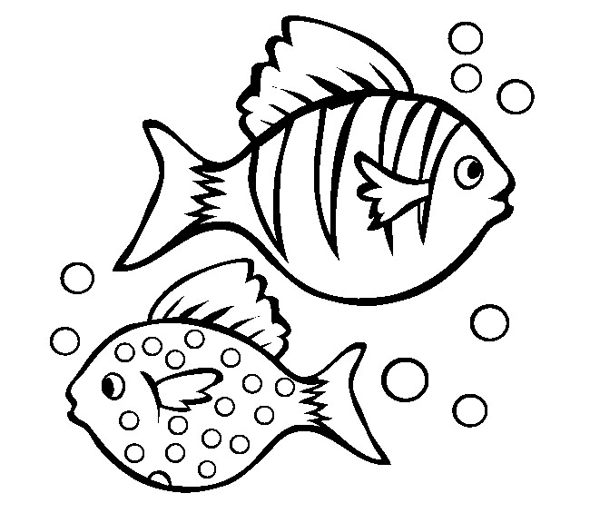 650x565 Fish Template Free Printable, Pdf Documents Download! Free