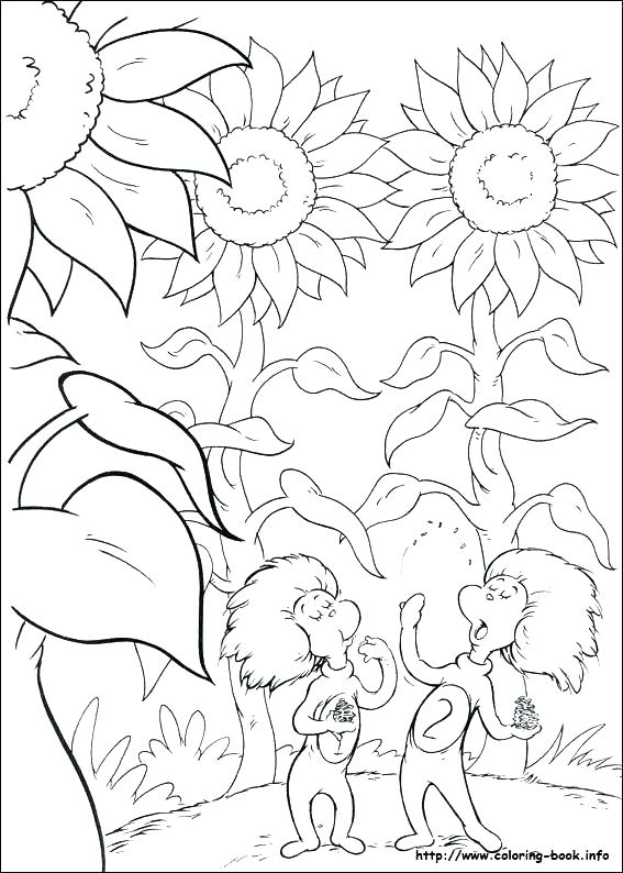 Dr Seuss Printable Coloring Pages Color Book And Coloring Pages 567x794 Dr Seuss Printable Coloring Pages Color Book And Coloring Pages