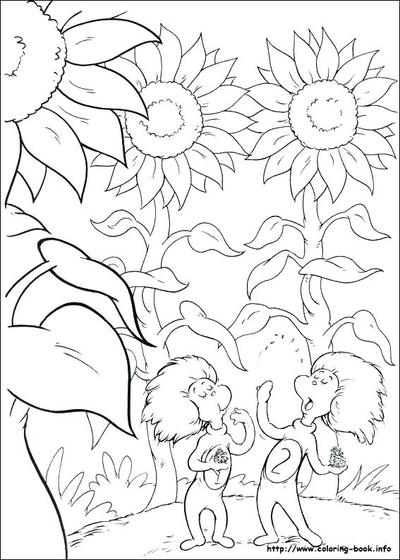567x794 Thing 1 And Thing 2 Coloring Pages Coloring Books In Addition